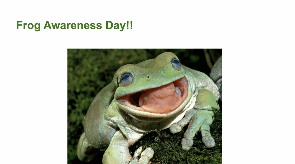 image of frog awareness day slide free resource